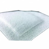 Category Image for Absorptive Dressings